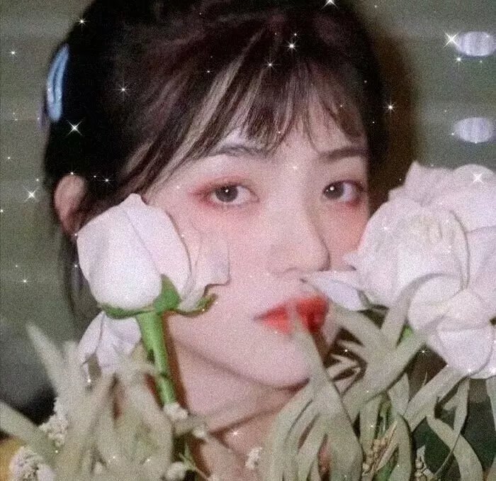 温柔生物